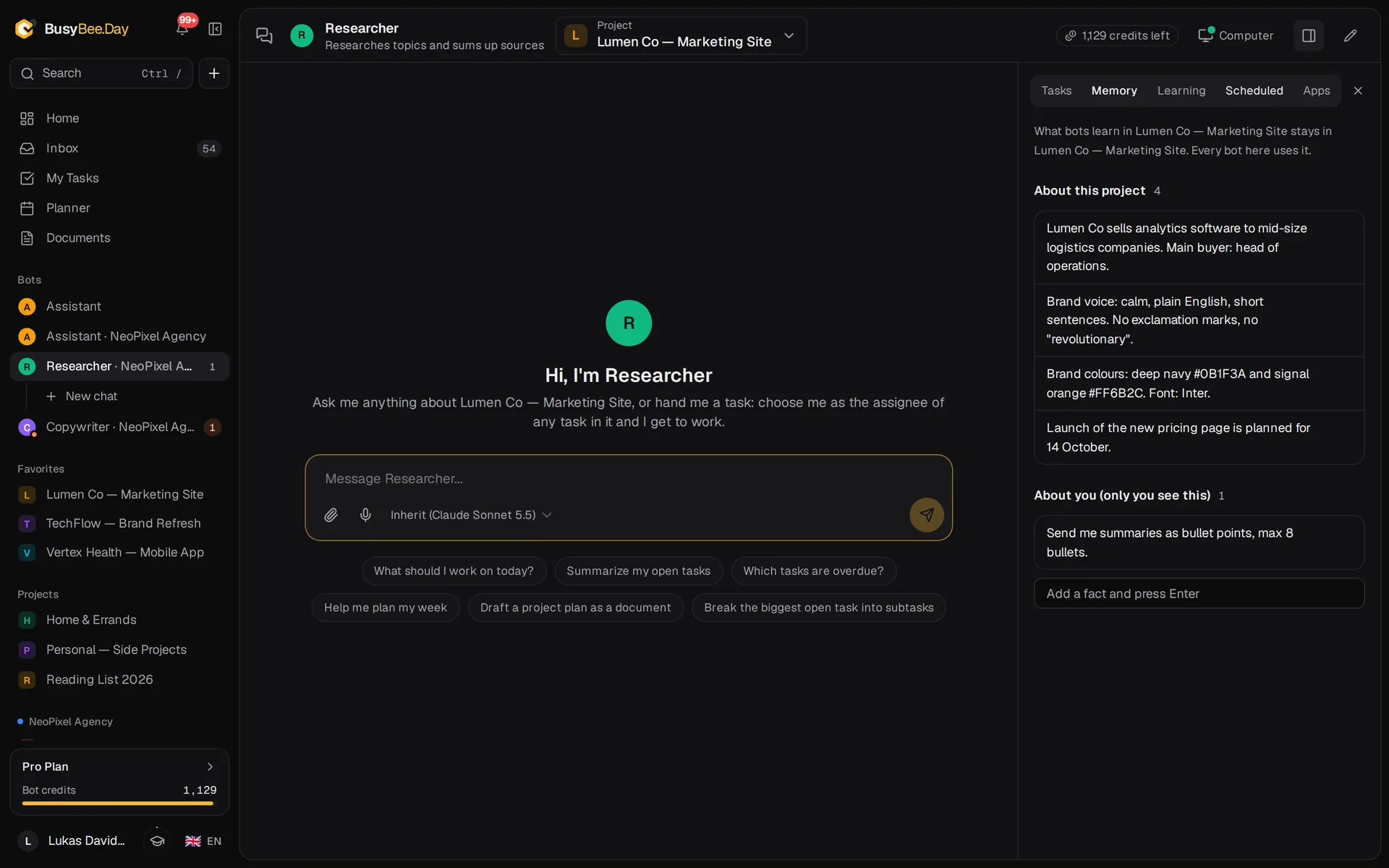 The memory panel of a project: facts about the project, facts about you and recently learned skills
